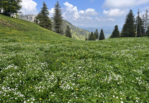 23-05-26 13-28-28 5700